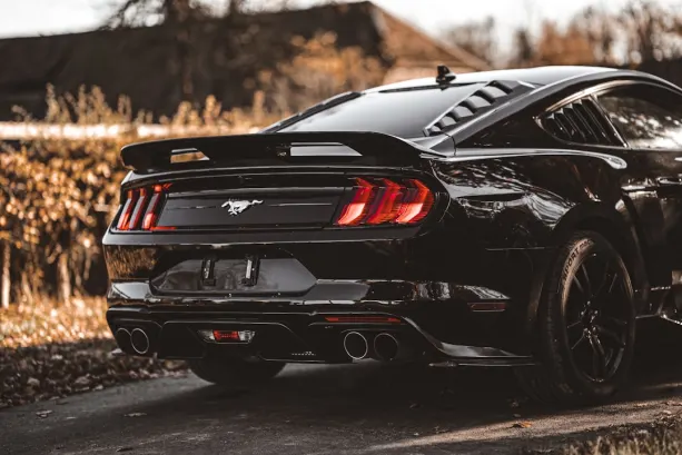 캐소벳 카지노 안드로이드/iOS 앱